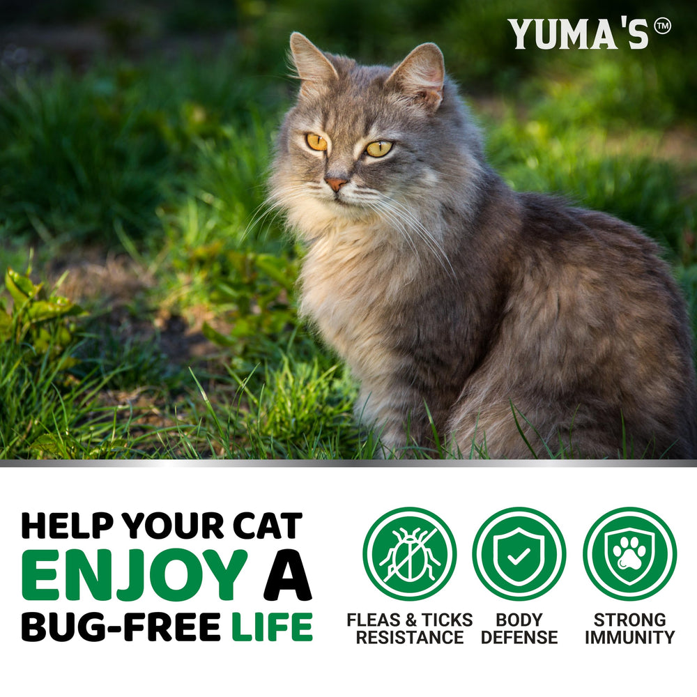 YUMA'S USA-made label highlights veterinarian-formulated quality