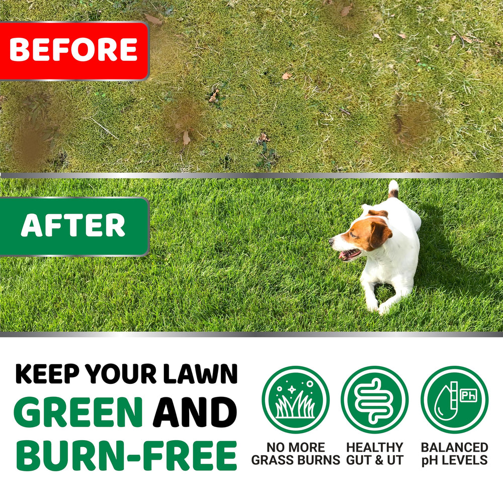 YUMA'S greens lawn treats with probiotics and enzymes support digestion and a healthier lawn.