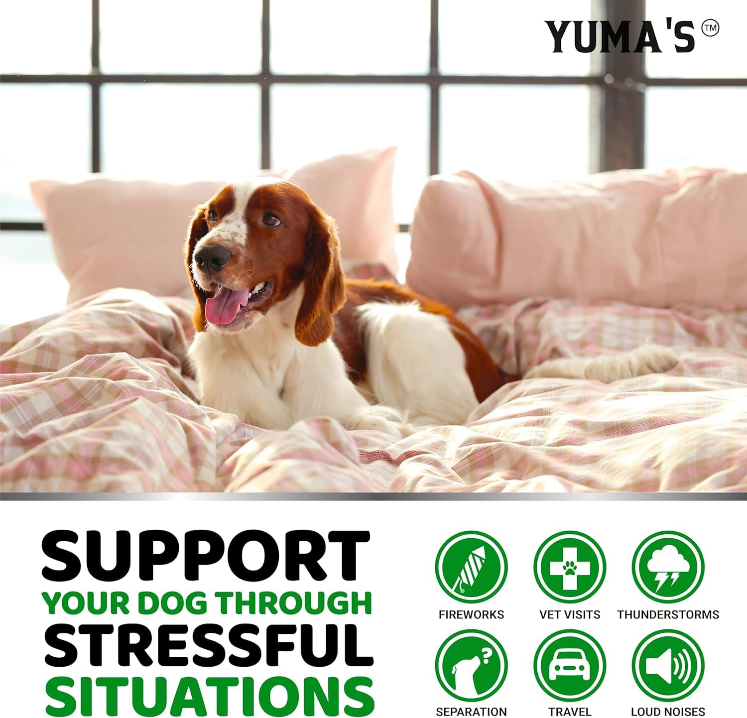 YUMA'S dog package front shows veterinarian-formulated blend for safer anxiety support