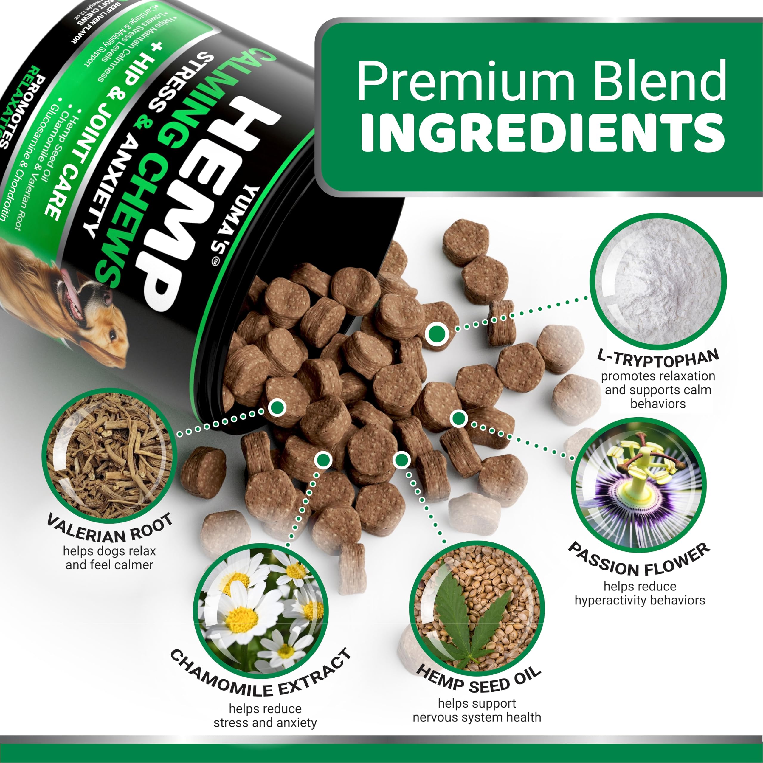 YUMA'S Hemp Calming Chews dog with chew showing easy administration.