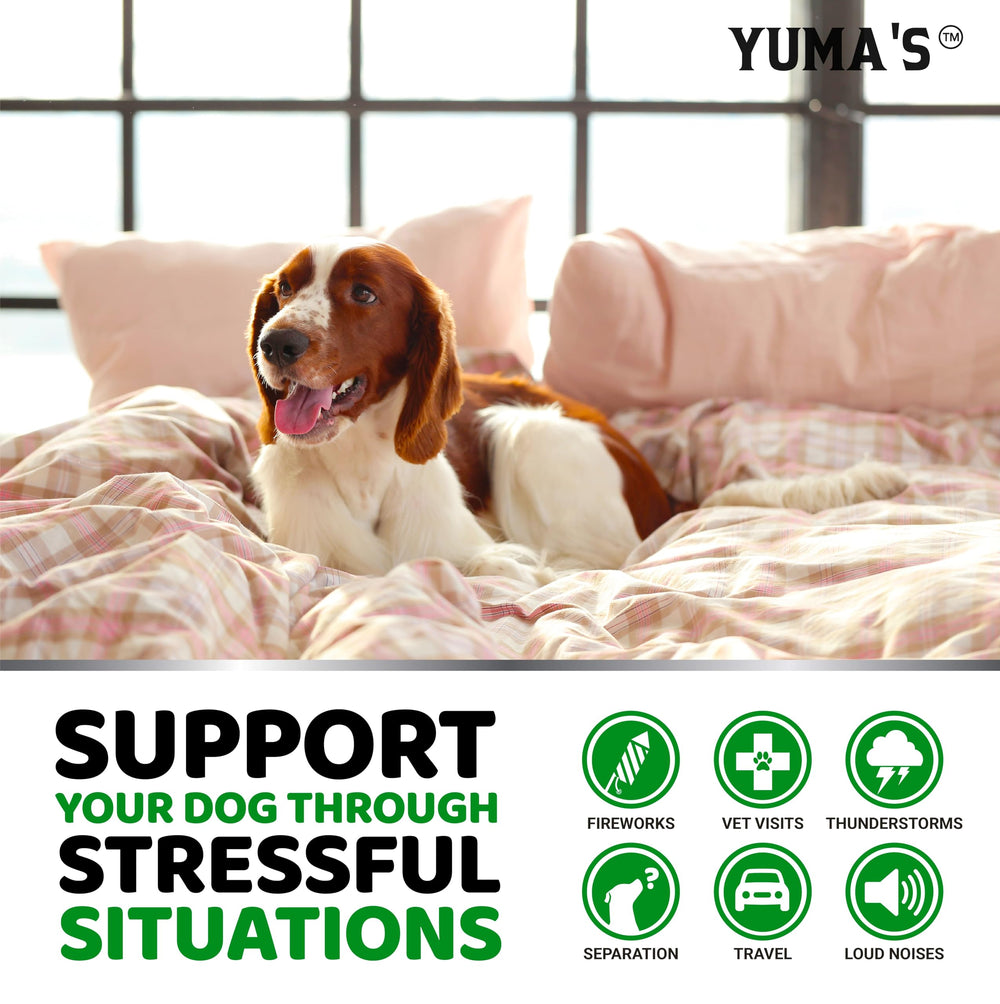 YUMA'S Hemp Calming Chews packaging front highlighting USA-made quality.