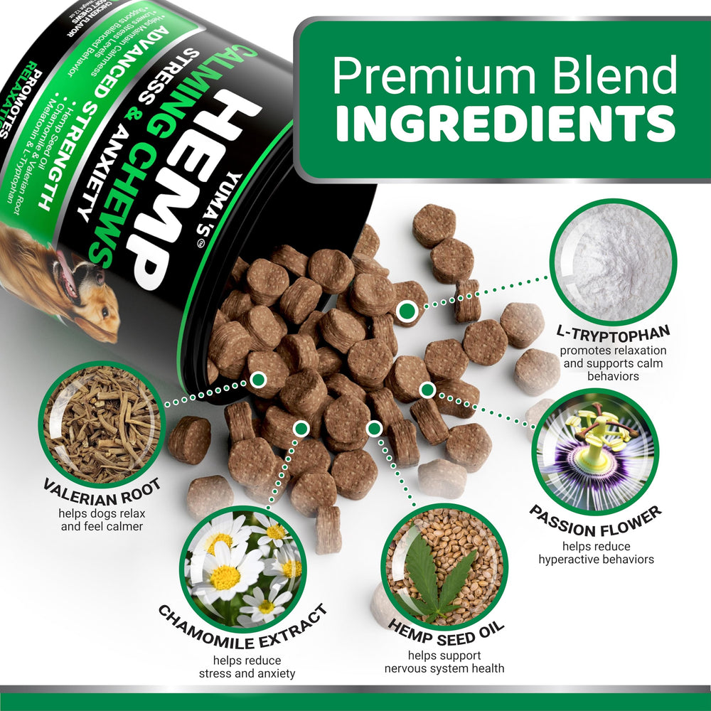 YUMA'S hemp calming chews treats in bowl for daily stress relief