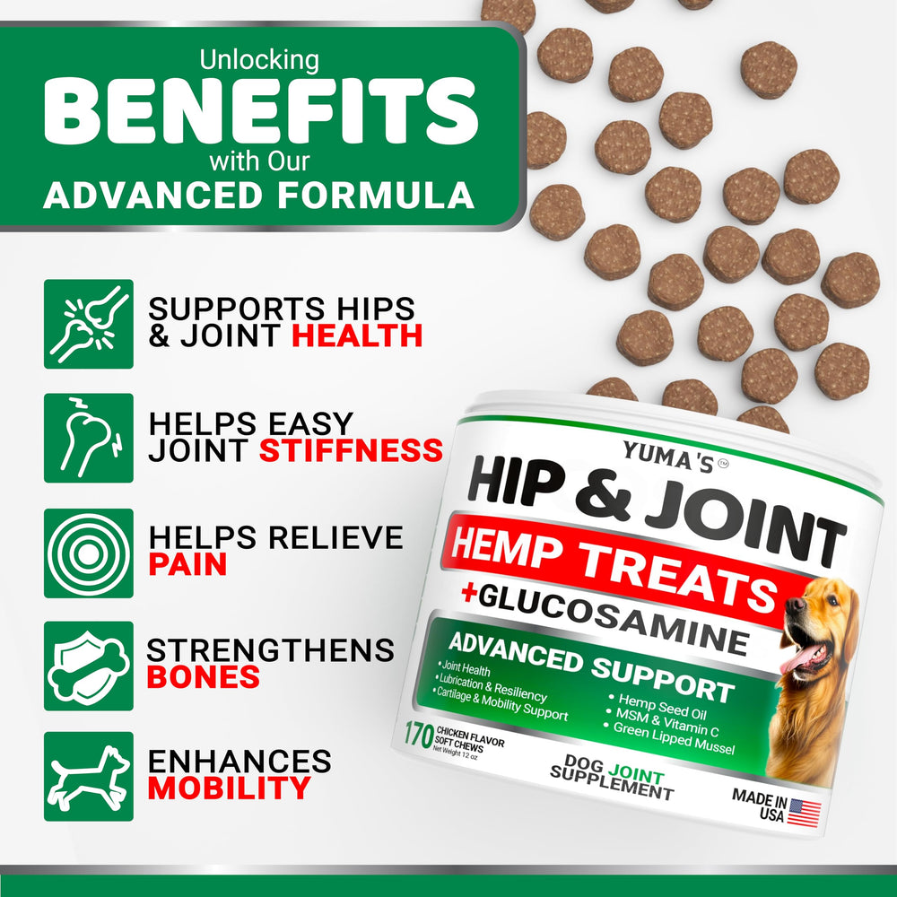 YUMA'S hip joint chews close-up texture highlights palatability and easy daily use.