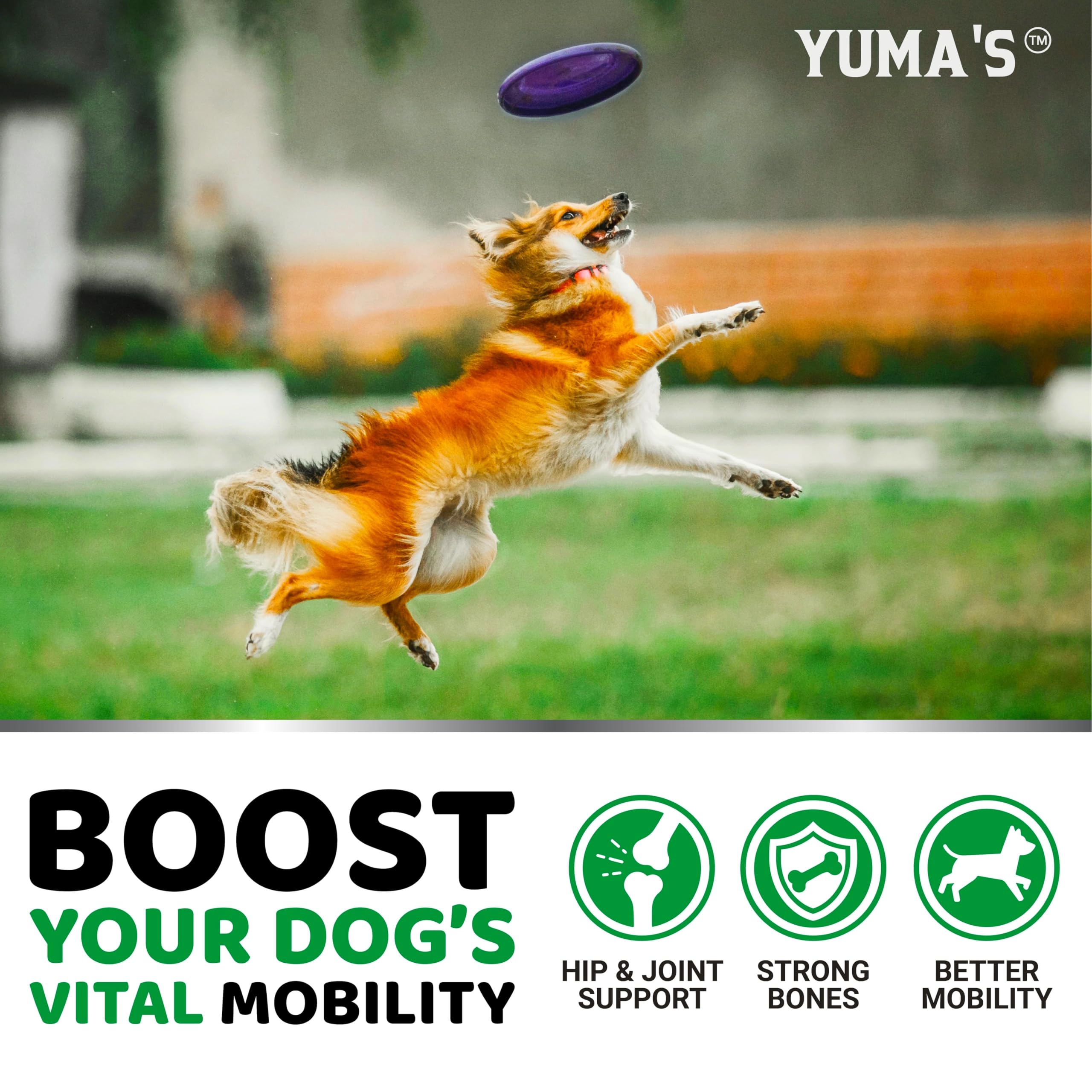 YUMA'S USA-made facility badge emphasizes quality and safety for joints.