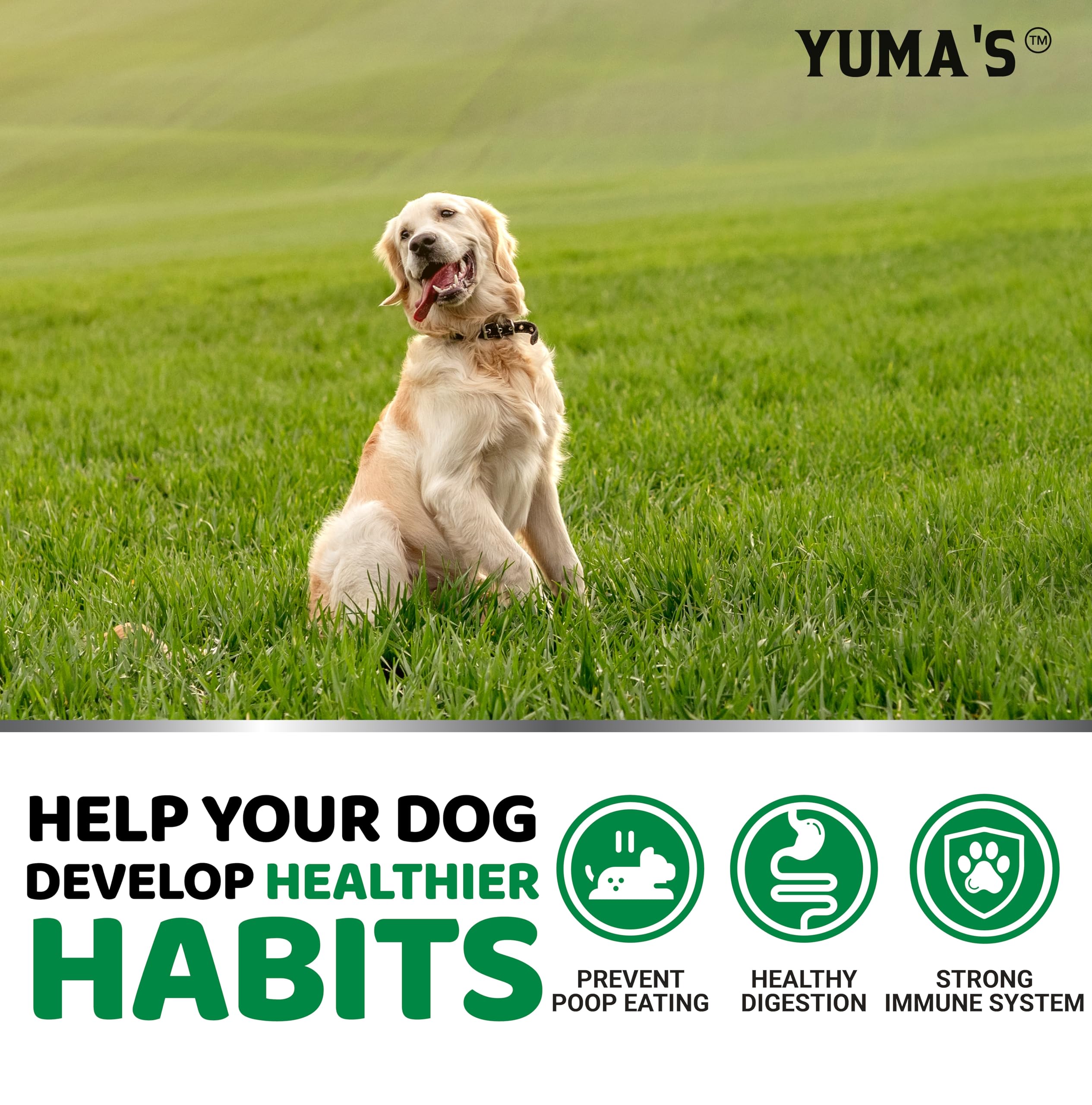 YUMA'S No Poo Chews packaging close-up highlighting probiotic and digestive enzyme ingredients.