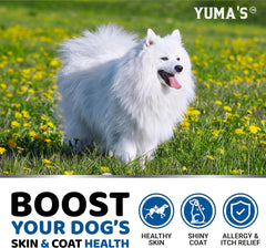 YUMA'S Omega 3 dog chews chicken flavor close-up hints at tasty coat-care option.