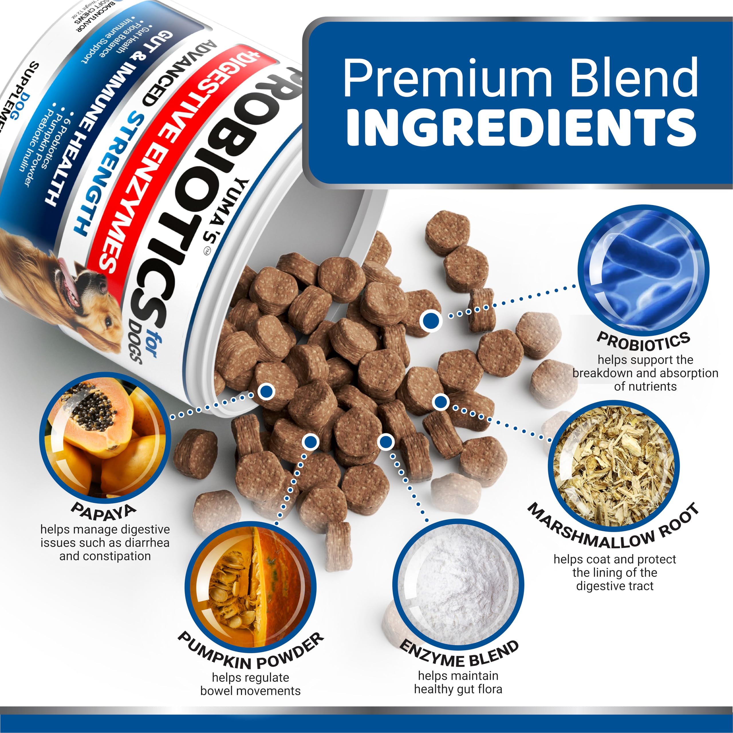 YUMA'S Probiotics for Dogs daily dose illustration emphasizing routine digestive wellness