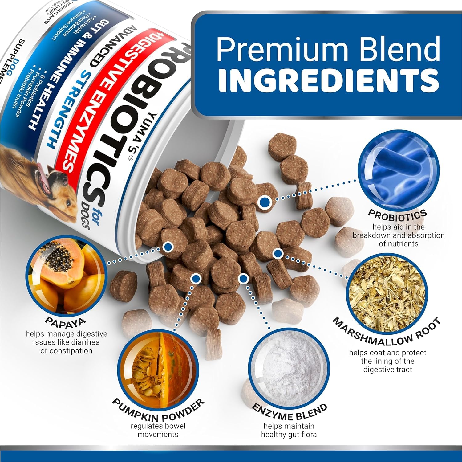 YUMA'S Probiotics for Dogs chews shown during a daily routine, supporting digestion