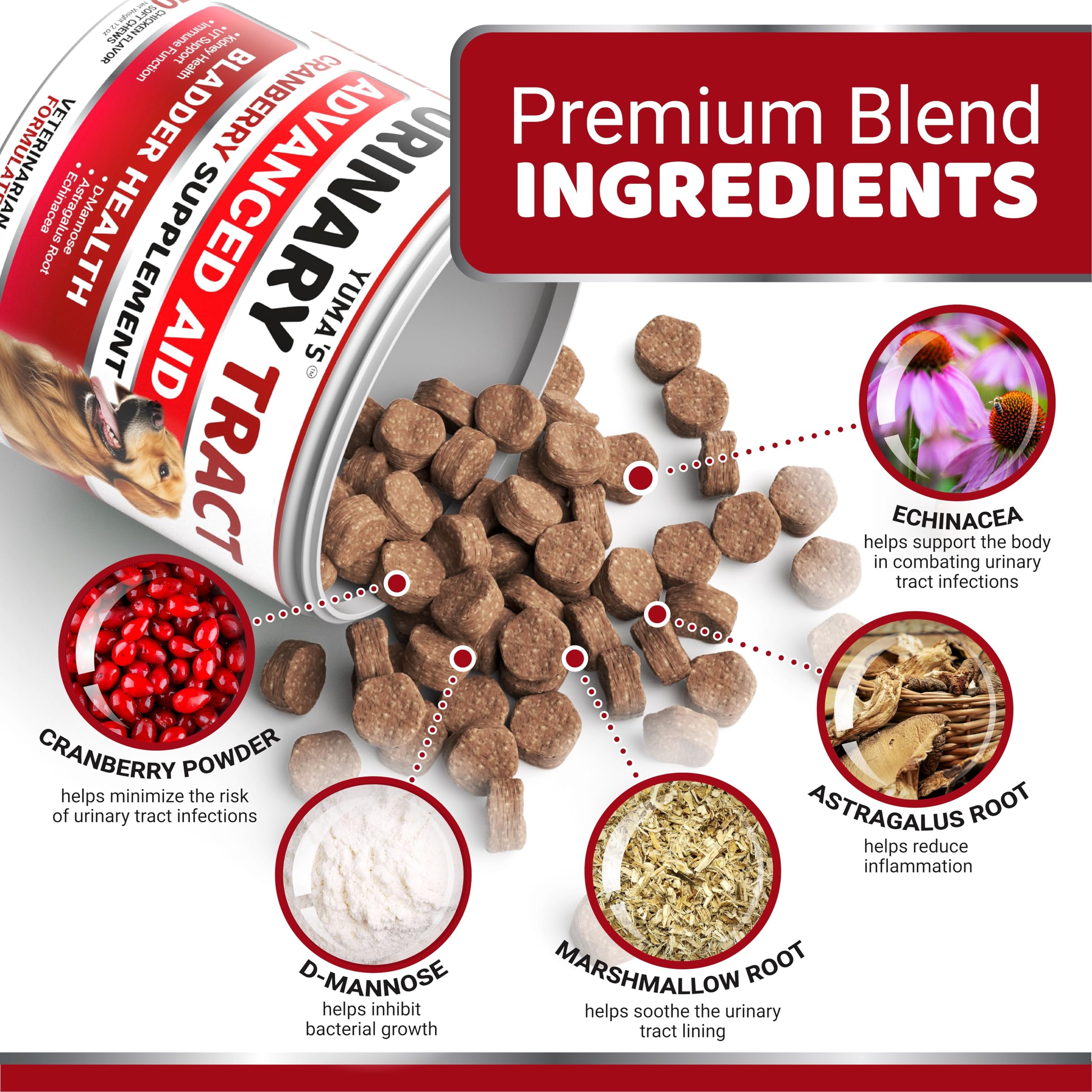 YUMA'S tasty dog cranberry chews ready for daily urinary wellness