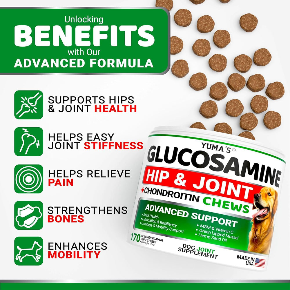 Two-pack packaging for YUMA'S dog joint supplement for ongoing hip health.