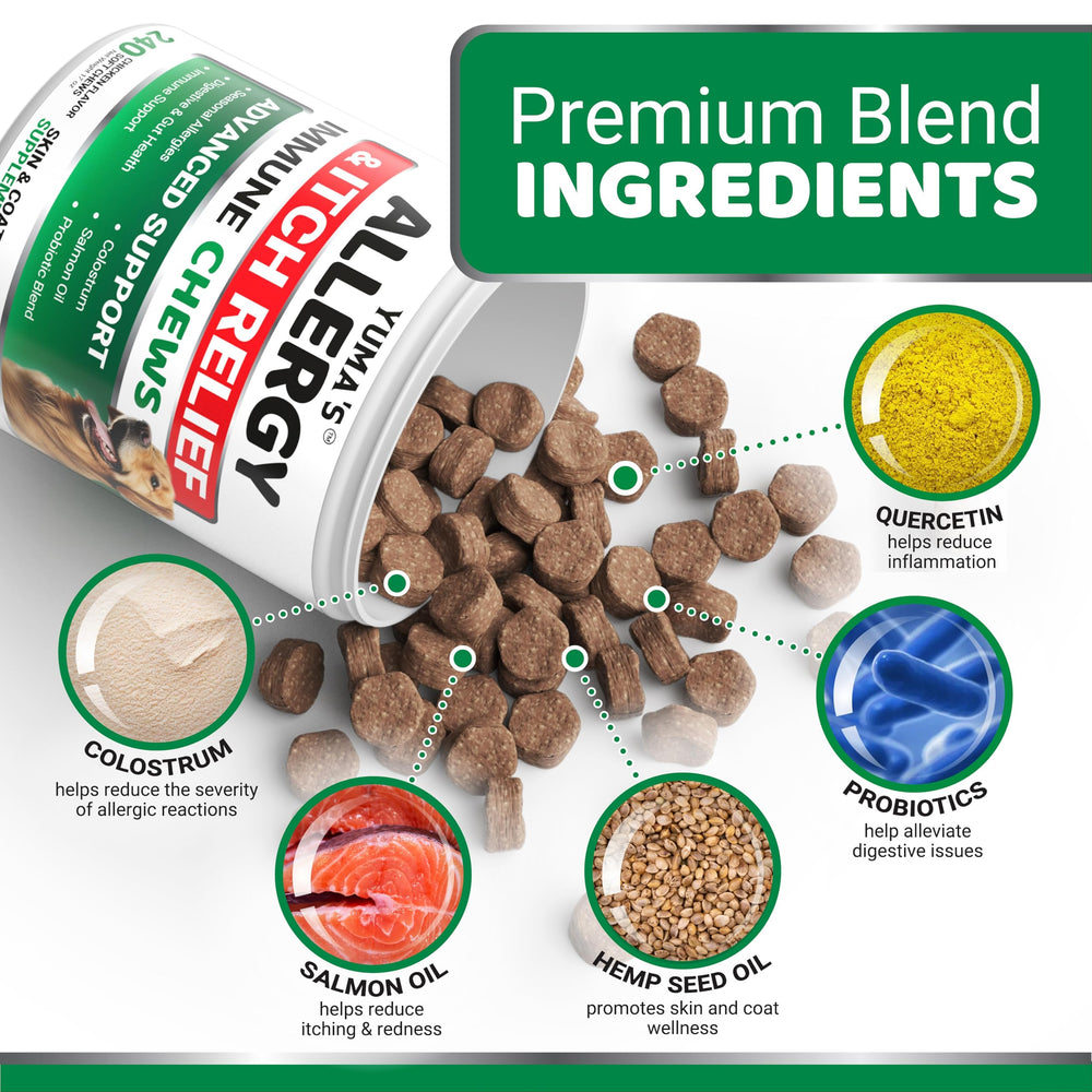 YUMA'S Dog Allergy Relief Chews dog eating demonstrates real-world use for itch relief.