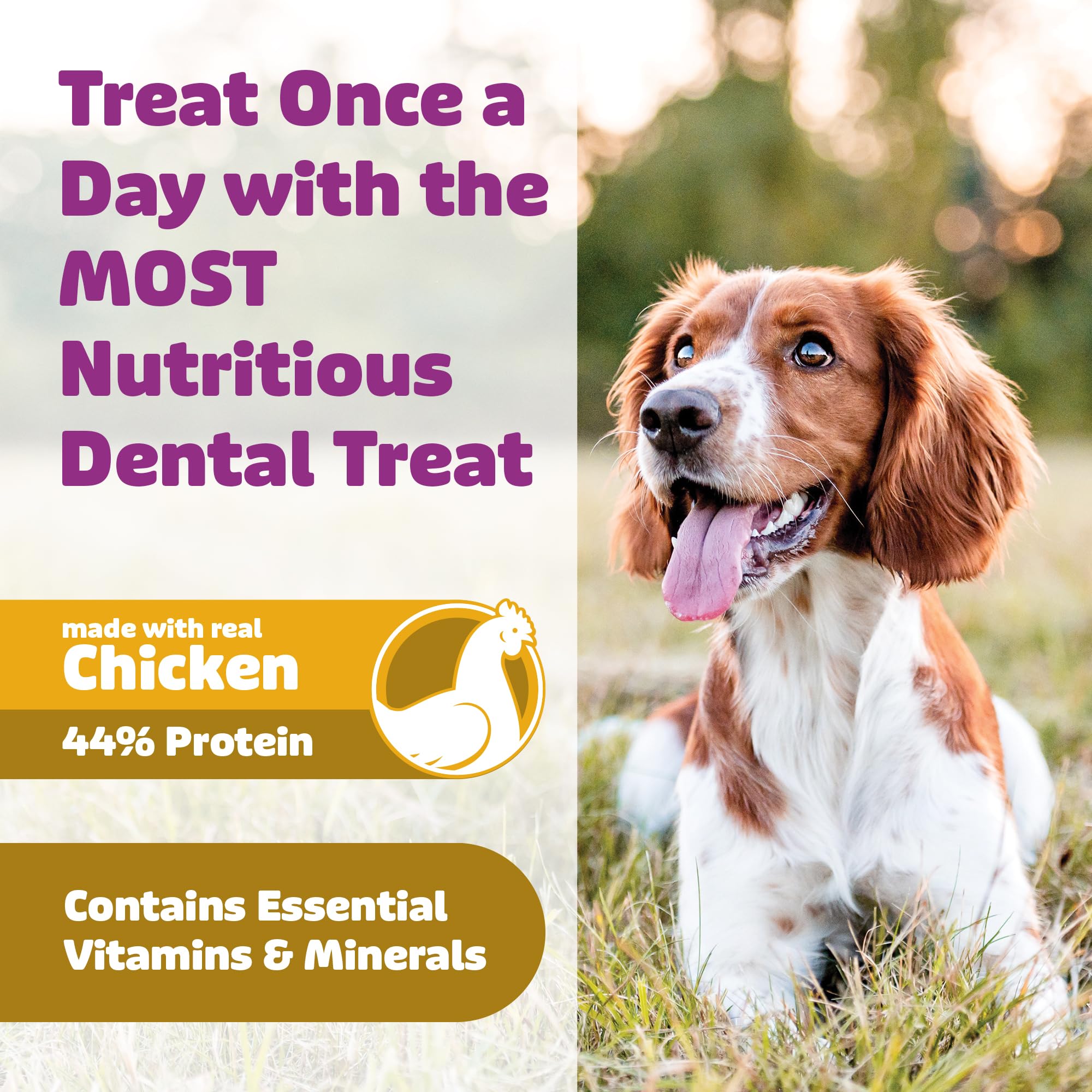 Yummy Combs dog-chewing-treat image captures enjoyable texture during daily dental ritual.