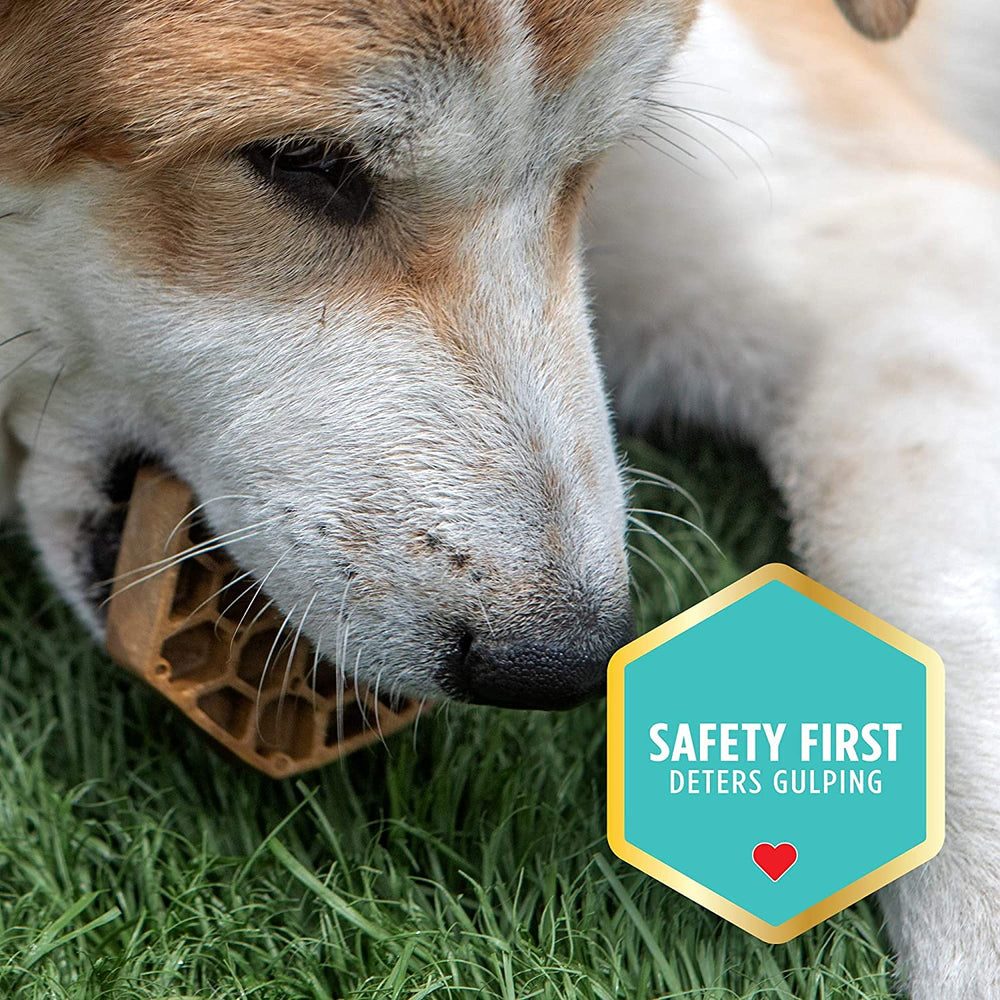 Yummy Combs dog enjoys a tasty dental snack while cleaning teeth.