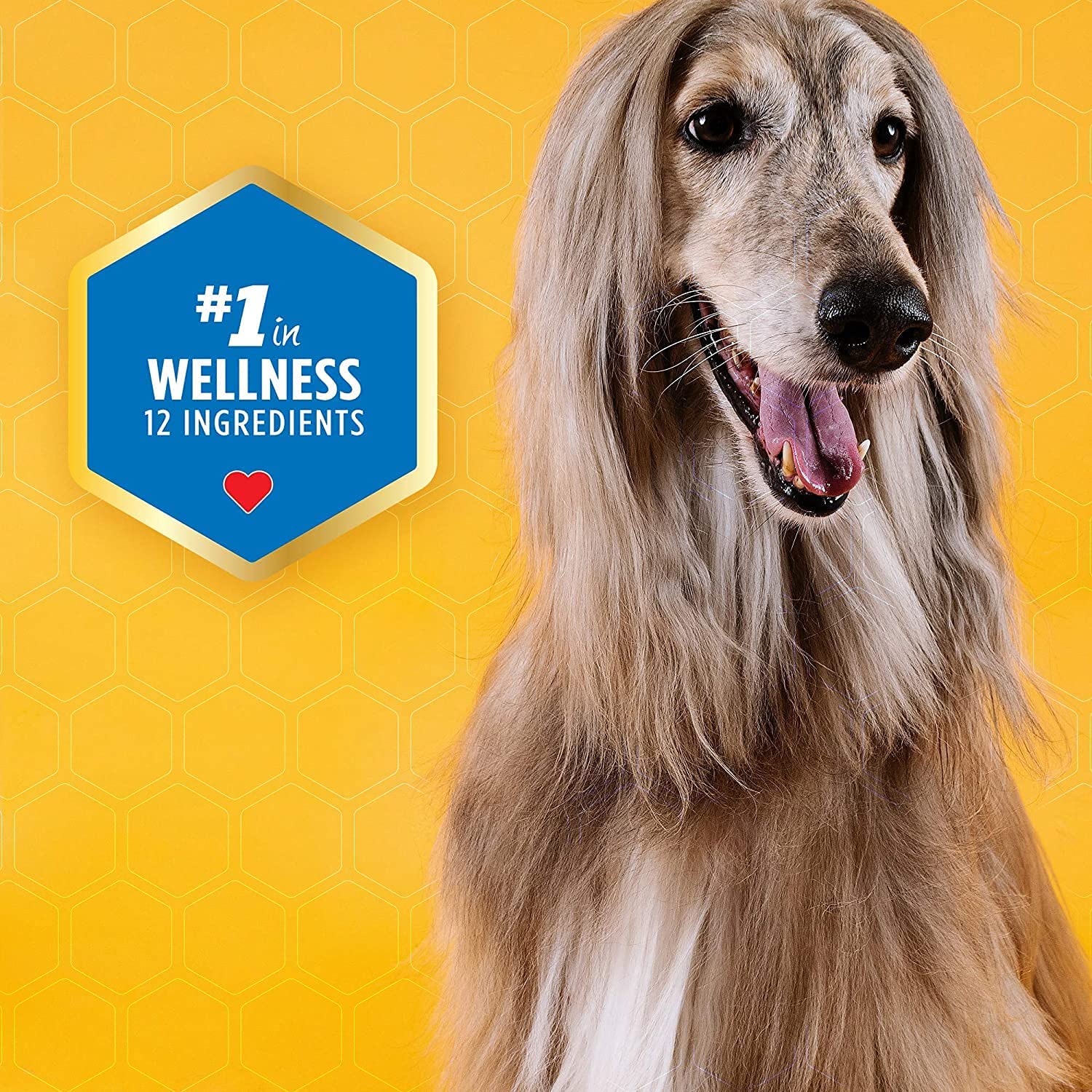 Yummy Combs protein formula highlights grain-free, gluten-free, non-GMO profile.