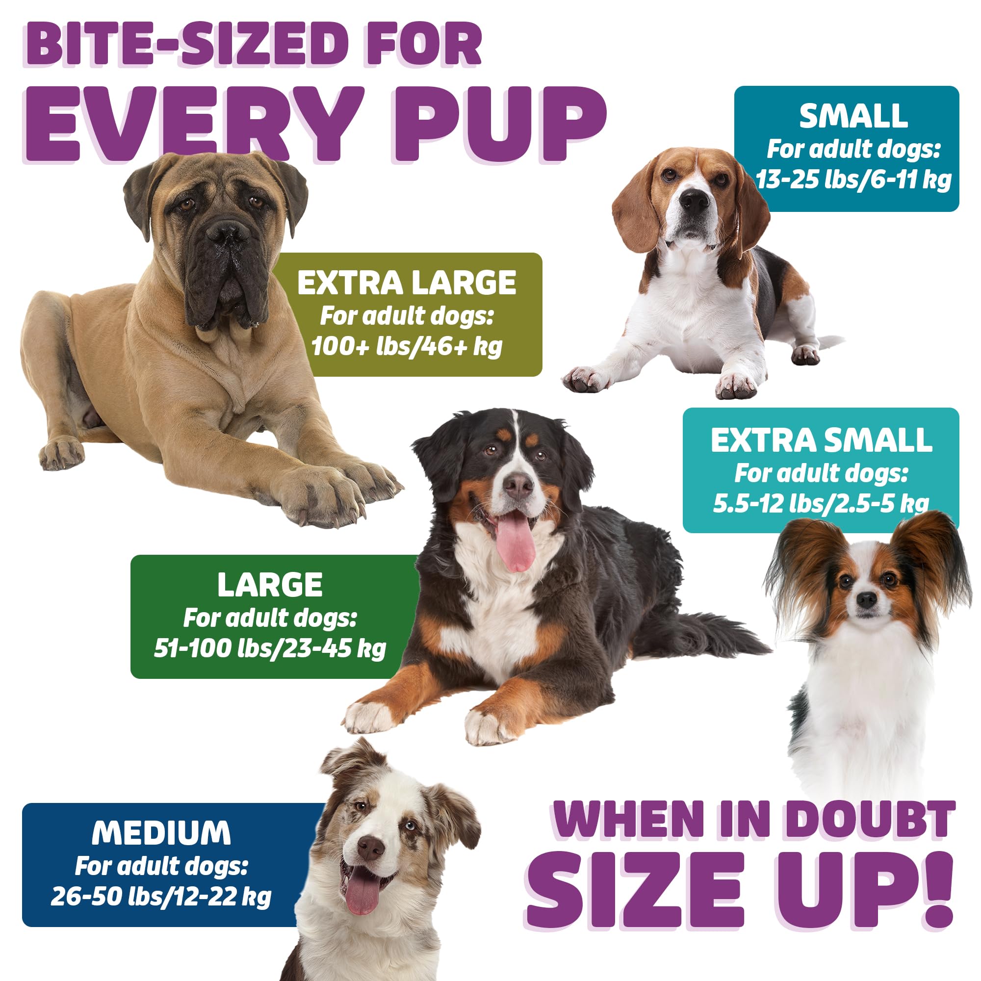 Yummy Combs size range extra-large dogs shows suitability for big breeds