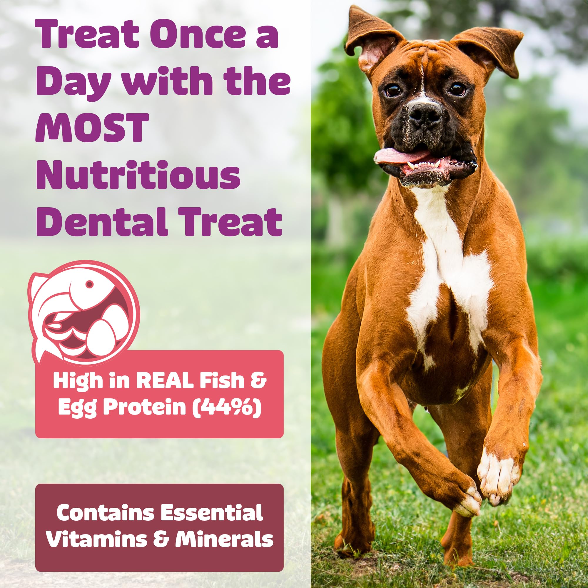 Yummy Combs treat size small demonstrates suitability for tiny breeds.