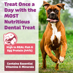 Yummy Combs treat size small demonstrates suitability for tiny breeds.