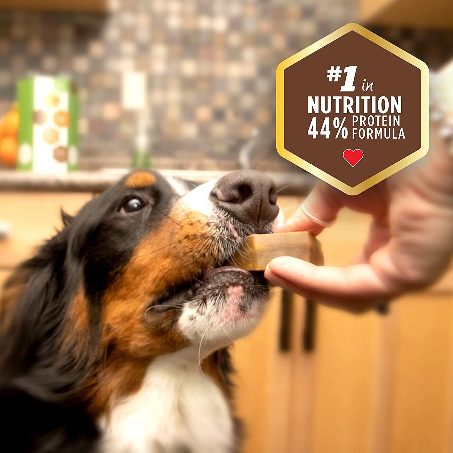 Yummy Combs wide design deters gulping, encouraging longer chewing.