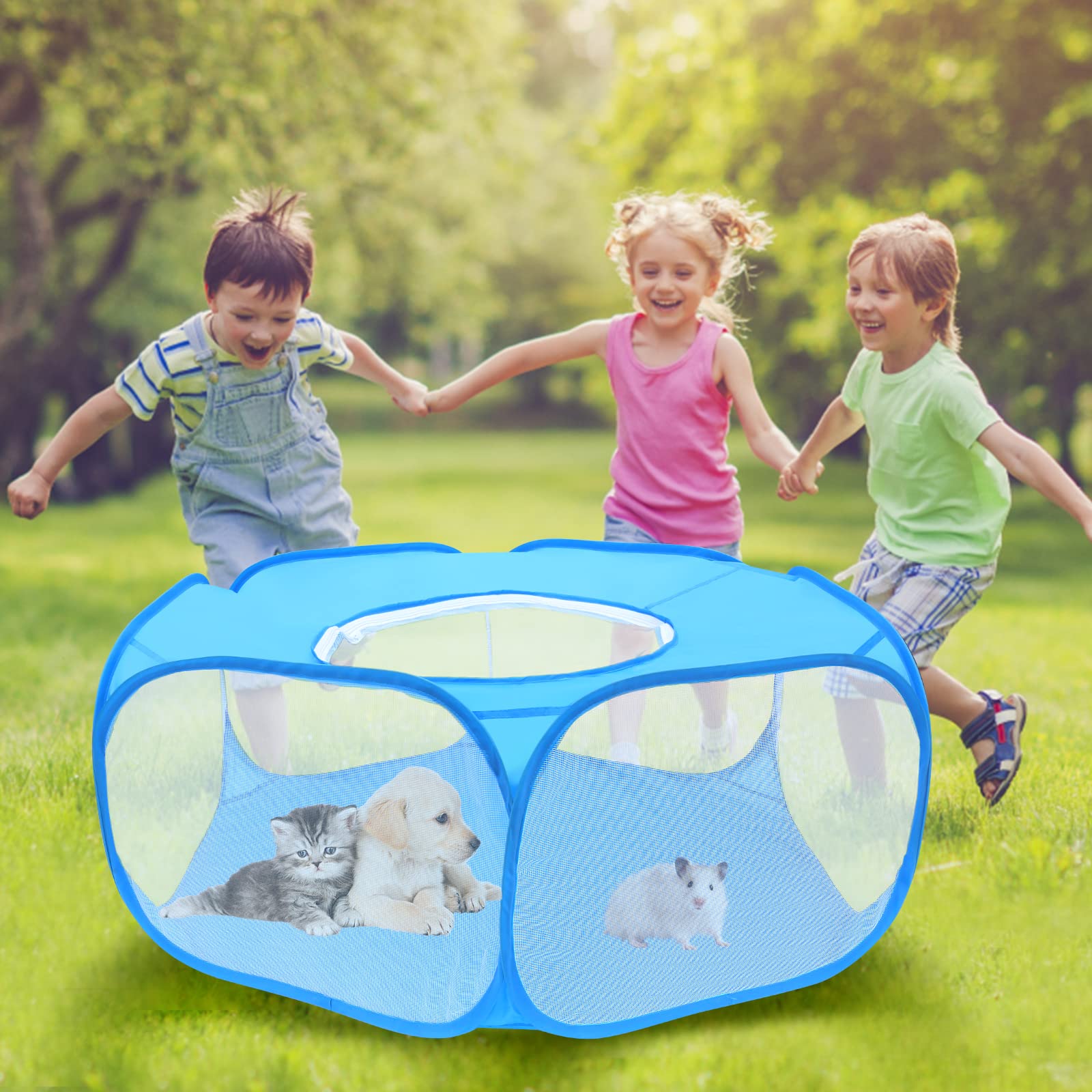 Yummy Sam blue playpen shown with small pets inside