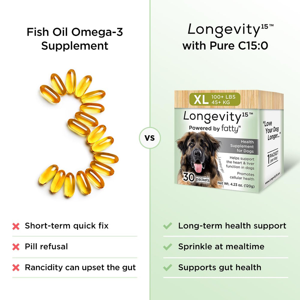 Yummy Combs Longevity15 dog-activity image features an energetic extra-large dog in play.