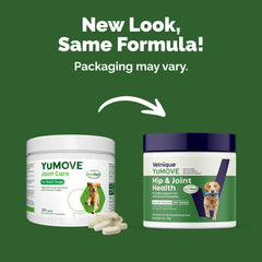 YuMOVE ActivEase green-lipped mussel close-up highlights natural joint support.
