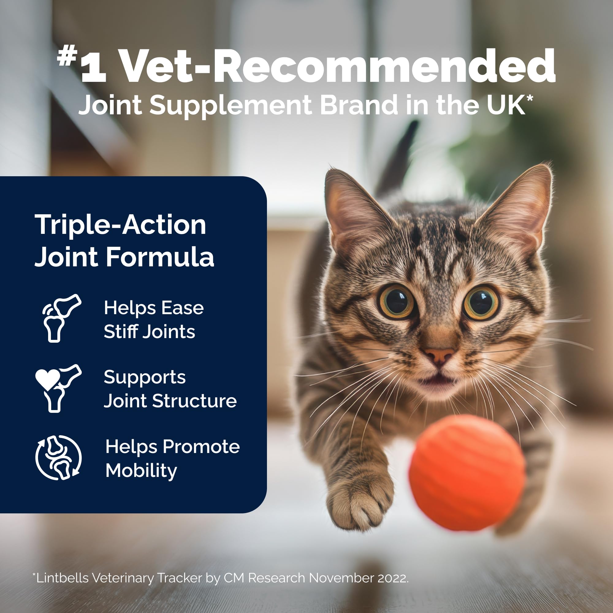 YuMOVE label closeup highlights glucosamine, chondroitin and green-lipped mussel.