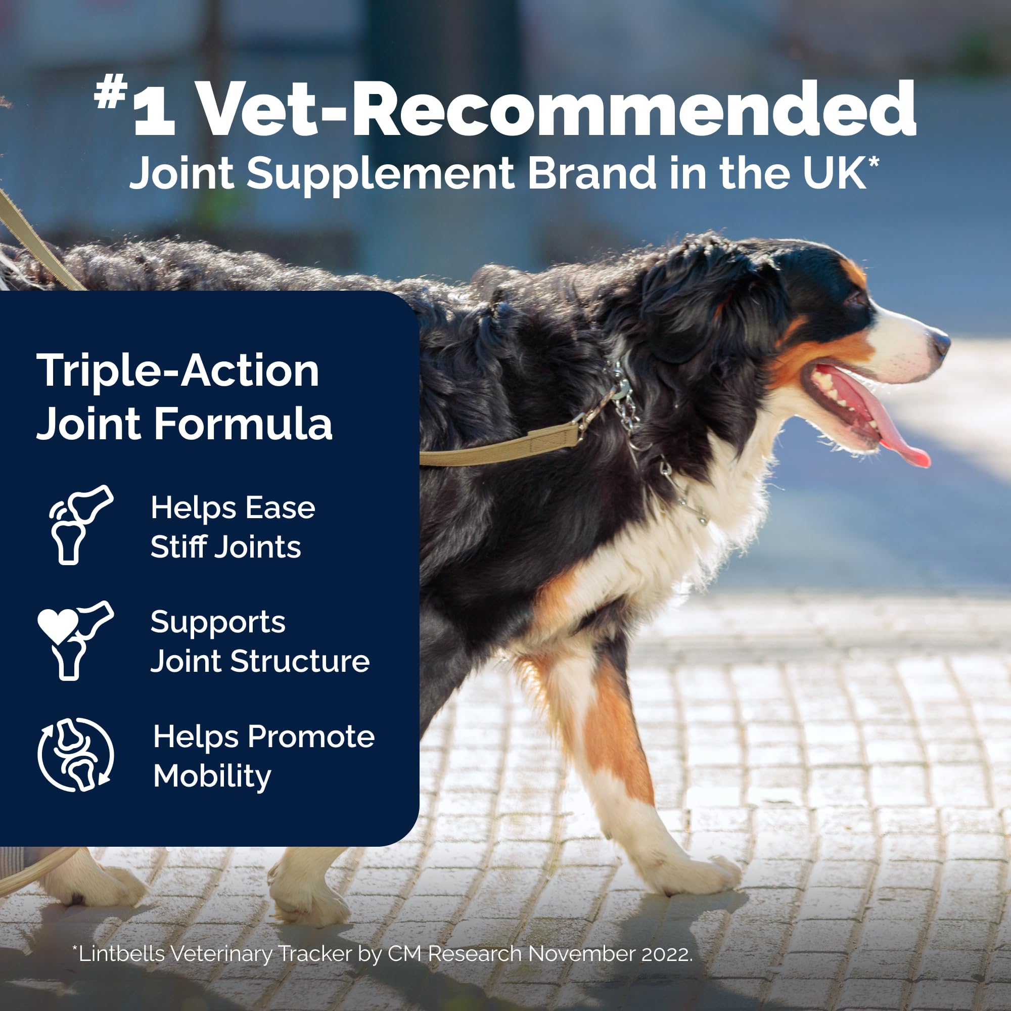 YuMOVE Large Dog Chews: formulated for bigger breeds needing joint support.