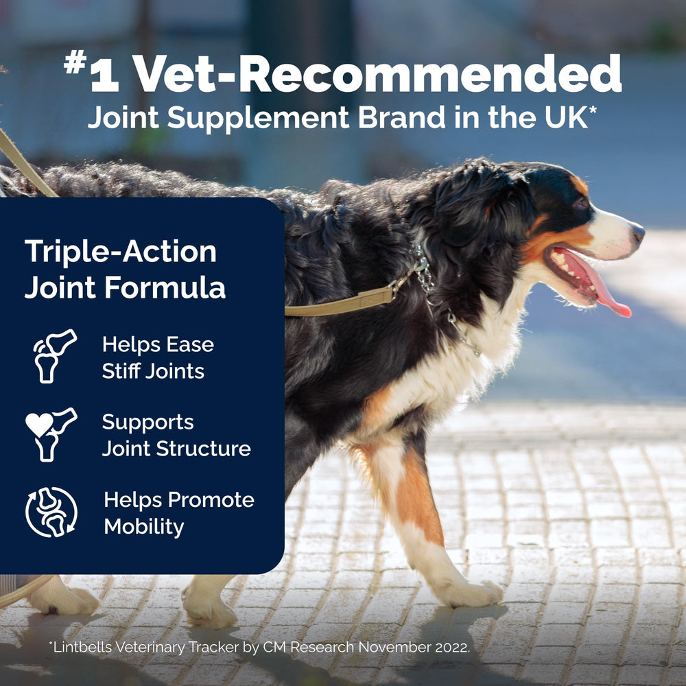 YuMOVE Large Dog Chews: formulated for bigger breeds needing joint support.