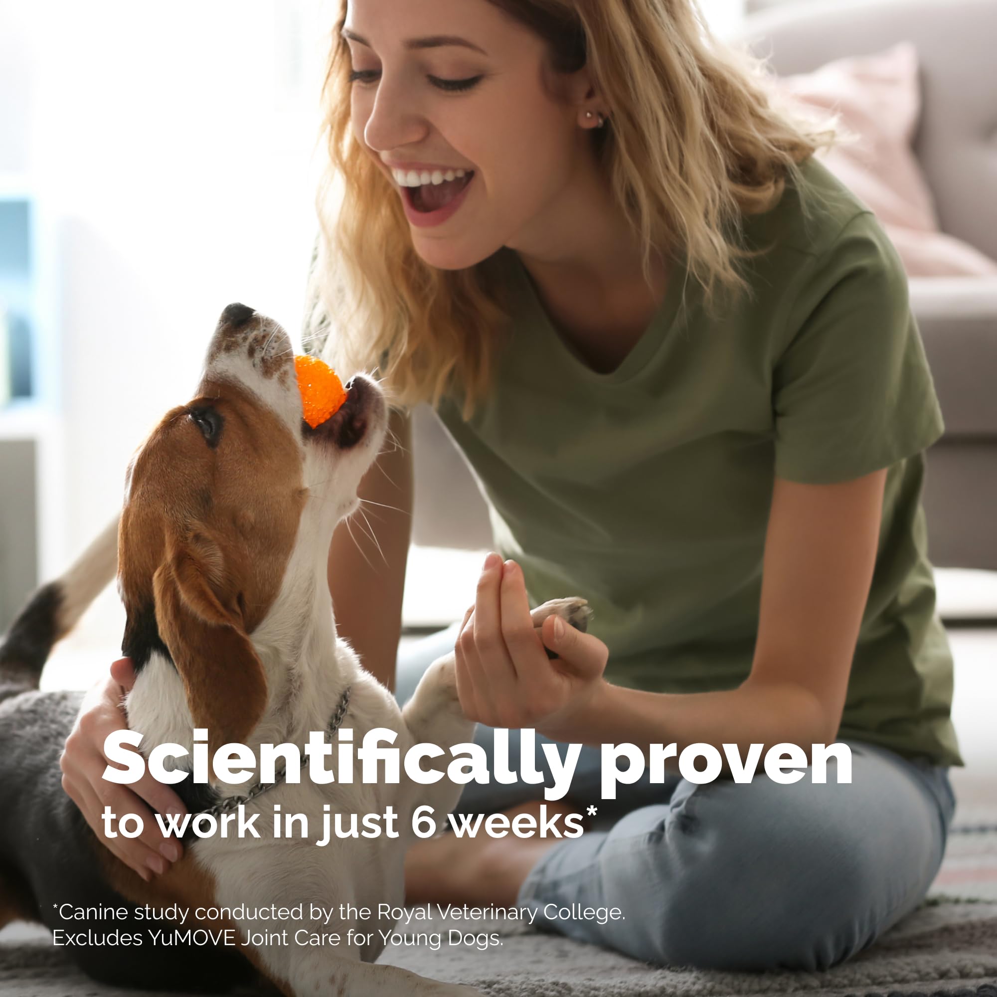 YuMOVE quick-absorption formula image suggests faster uptake for quicker daily mobility support.