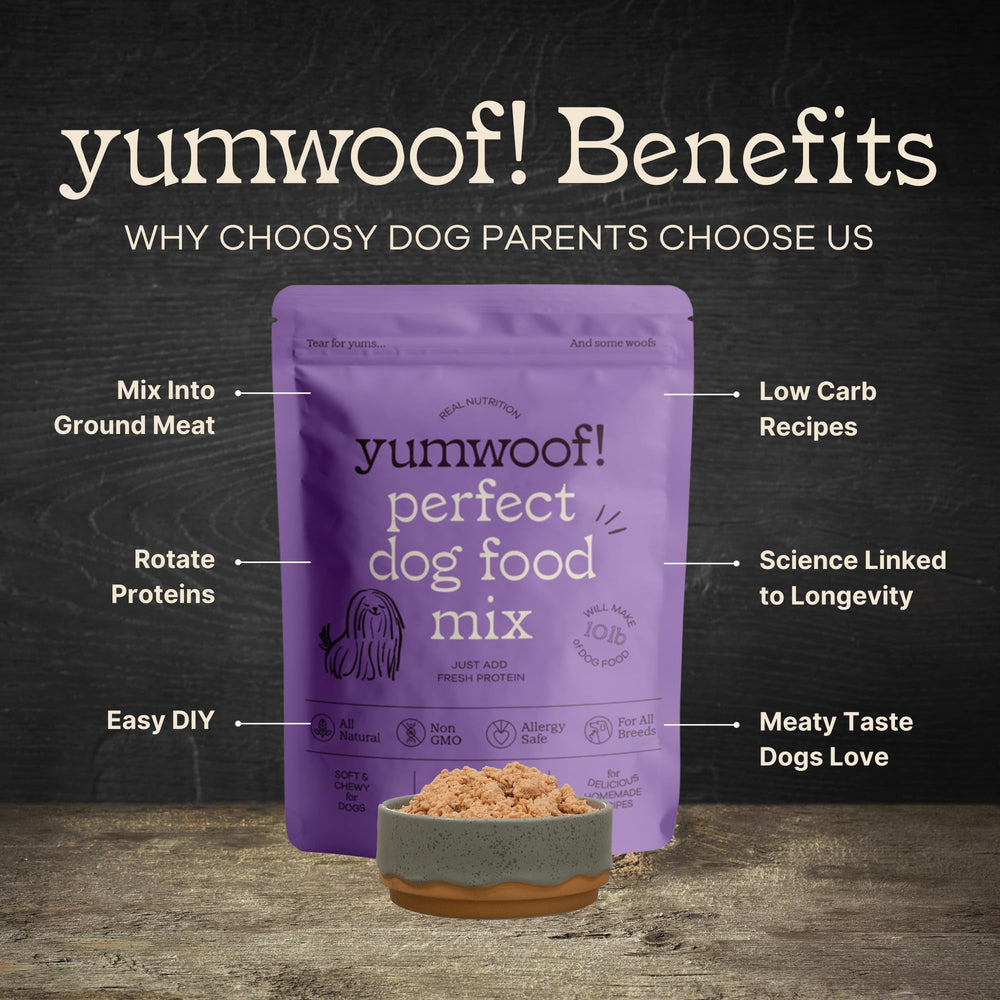 Yumwoof serving bowl with freshly made dog food ready to serve.