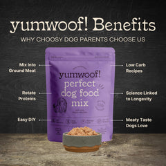 Yumwoof serving bowl with freshly made dog food ready to serve.