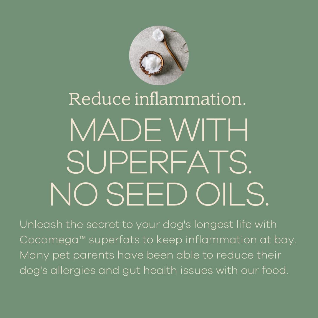 Yumwoof Perfect Kibble air-dried process visual showing nutrient preservation.