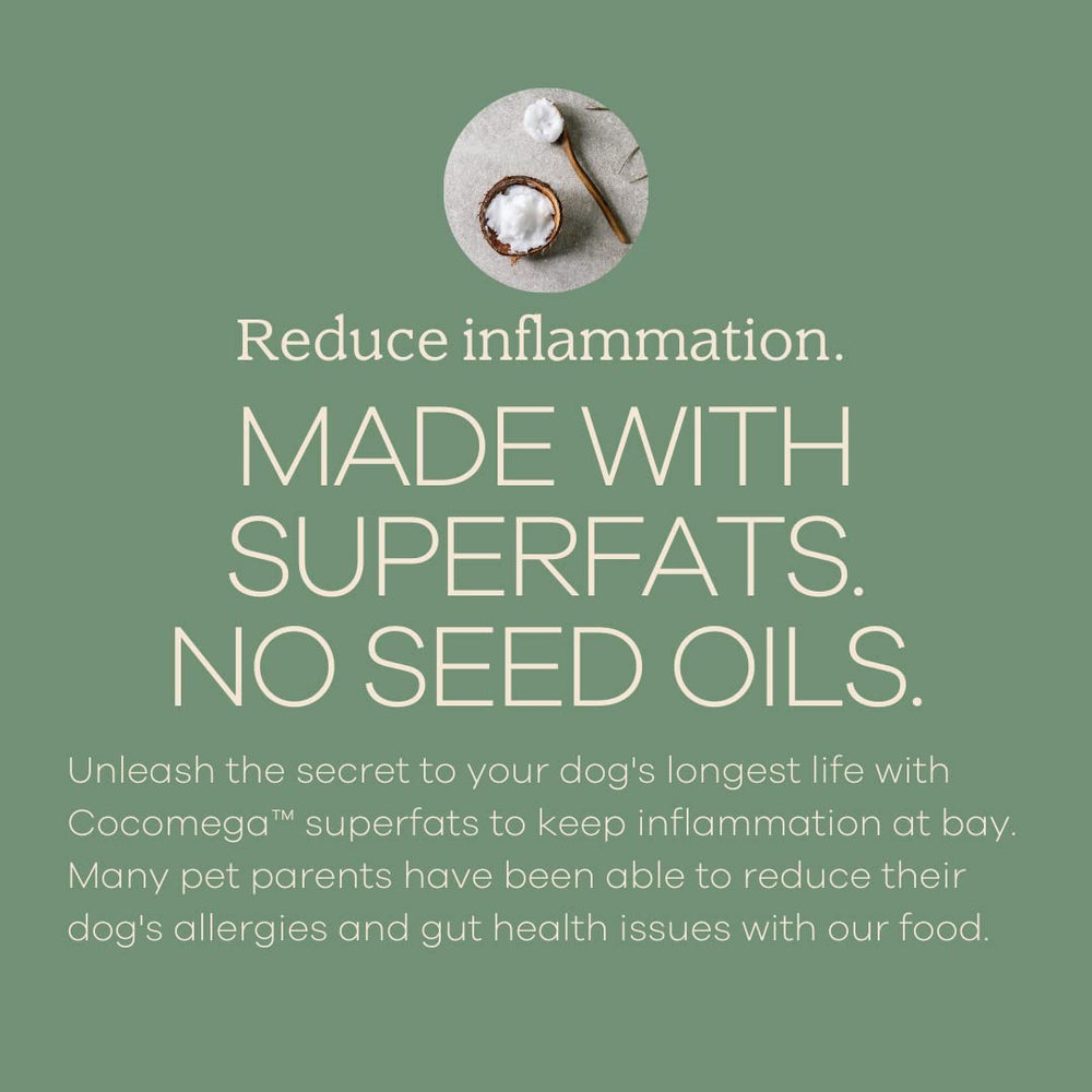 Yumwoof Perfect Kibble air-dried process visual showing nutrient preservation.
