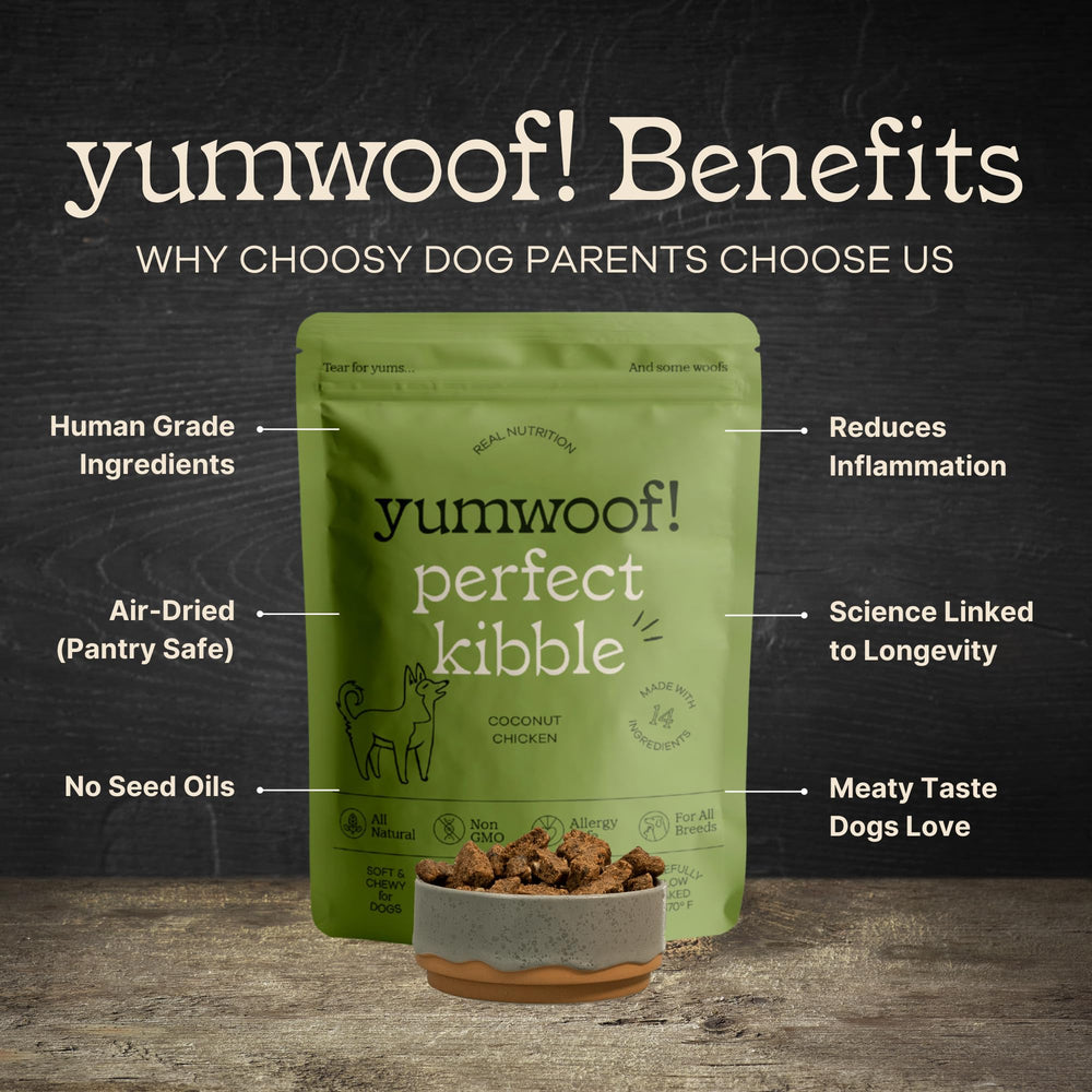Yumwoof Perfect Kibble crunchy bites demonstrating texture for picky eaters.