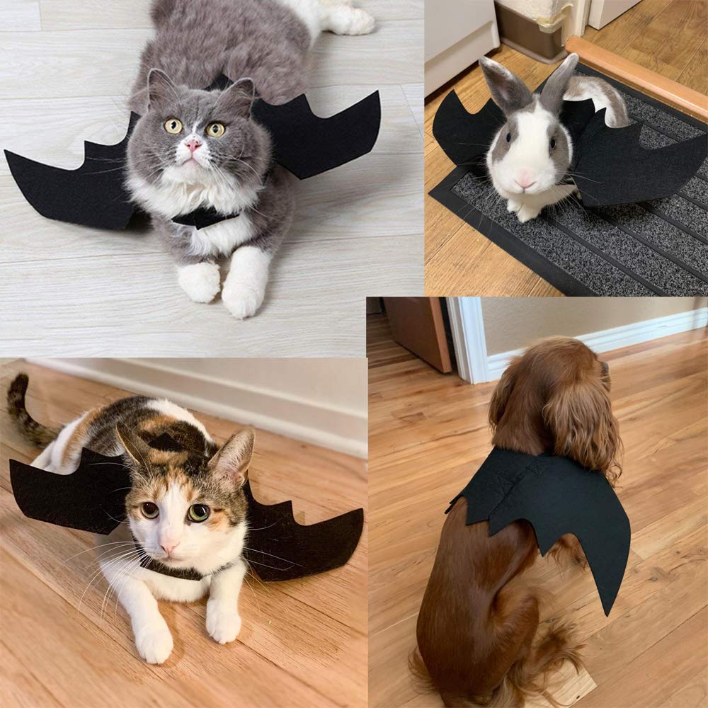 Yunfan bat wings look lightweight and comfy for Halloween party wear