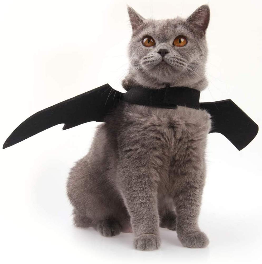 Yunfan bat wings with Velcro neck and chest fasteners for easy, reliable attachment