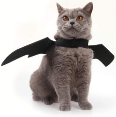 Yunfan bat wings with Velcro neck and chest fasteners for easy, reliable attachment