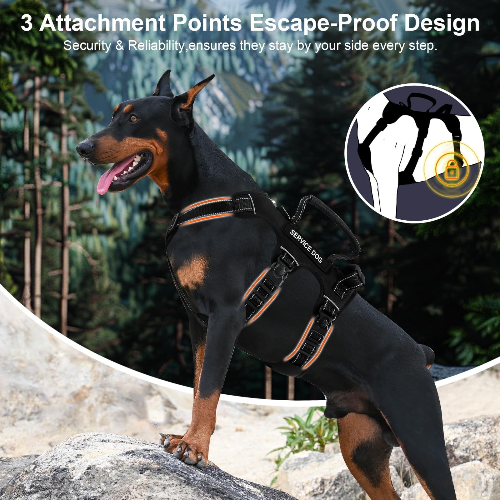 Yungaspy escape-proof dog harness side angle highlighting eight-point adjustability