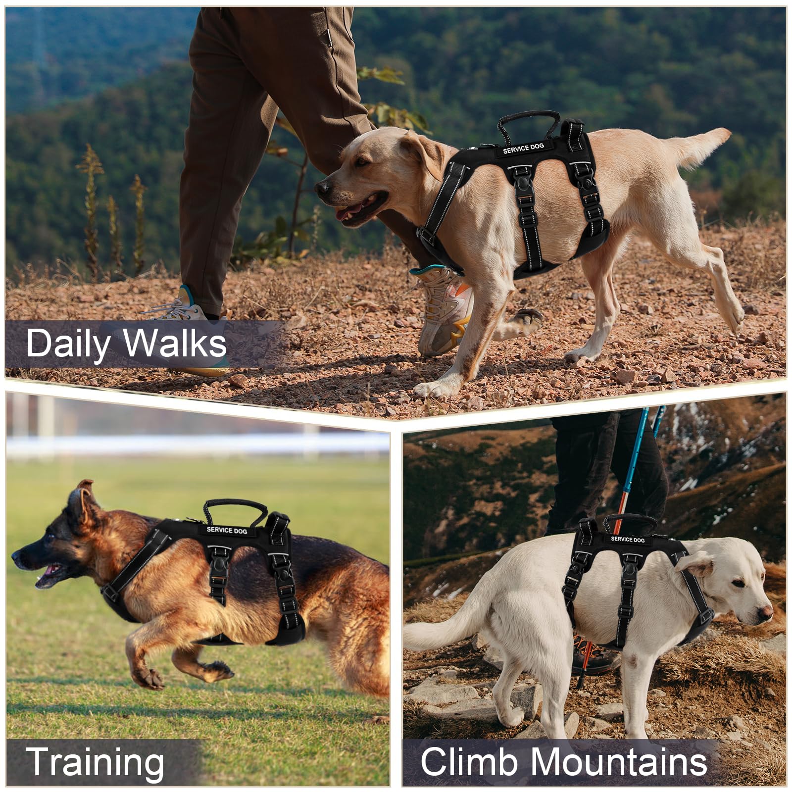 Yungaspy reflective harness at night improves visibility during walks