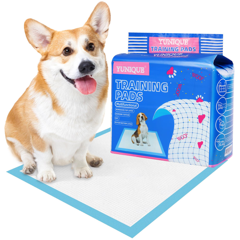 YUNIQUE leak-proof edge design helps prevent spills.