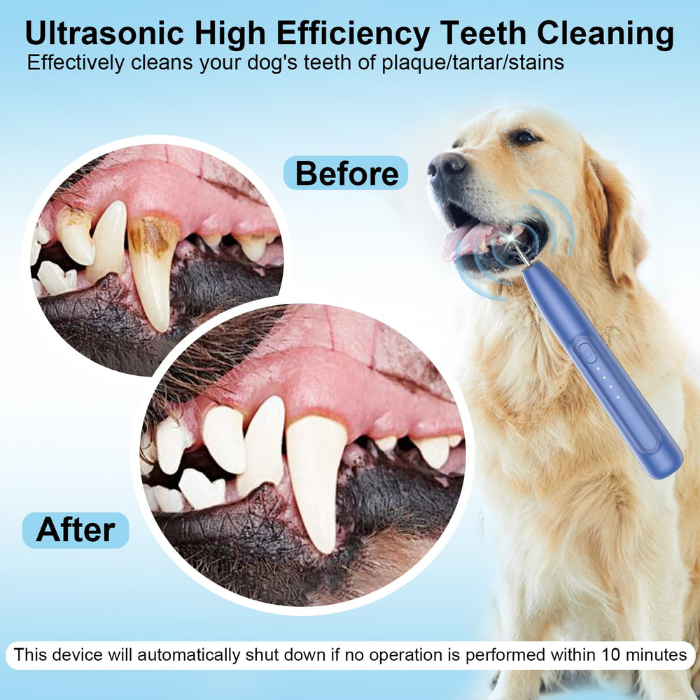 YunLuna dog teeth cleaner kit contents including probe and scaler