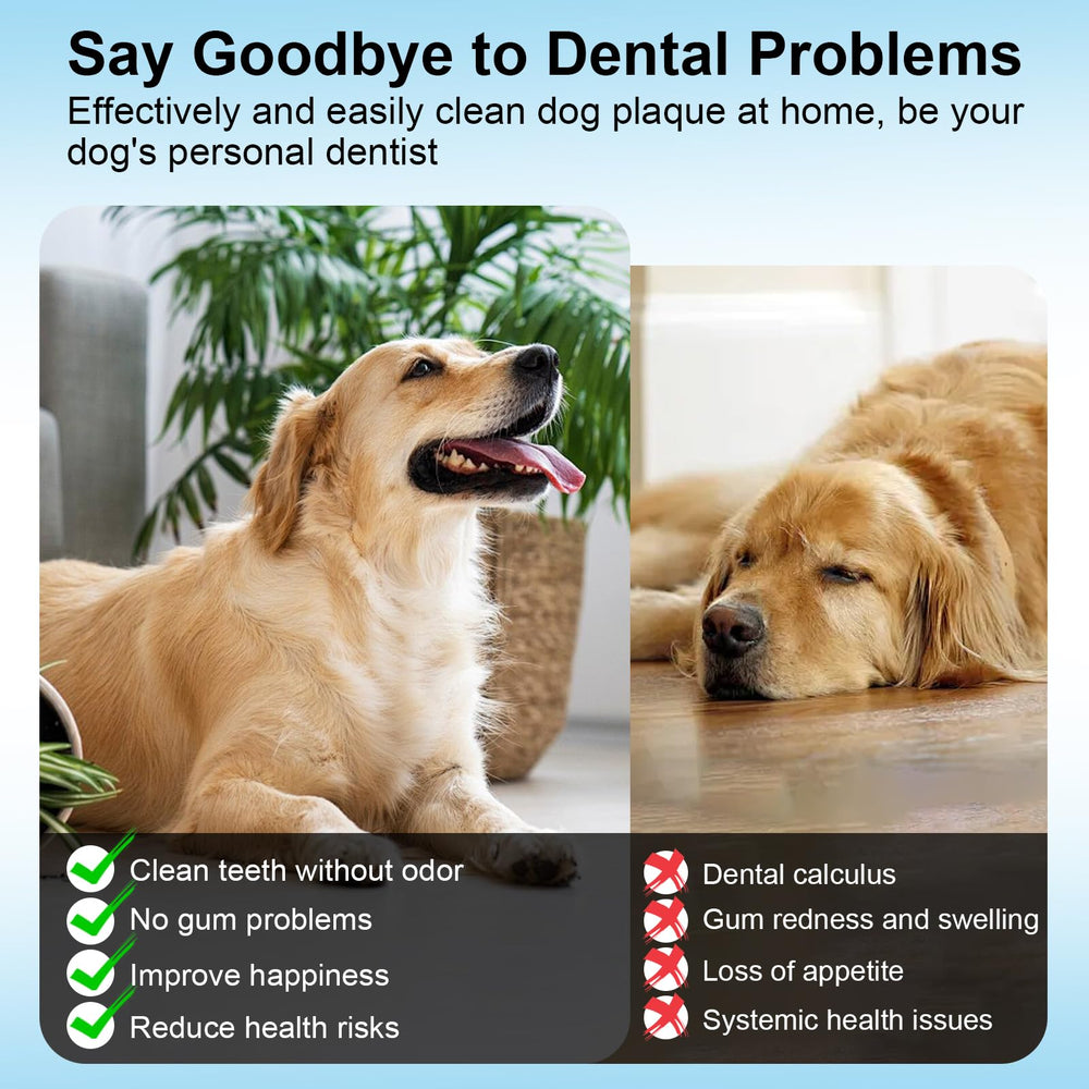 YunLuna low-noise operation suitable for anxious dogs