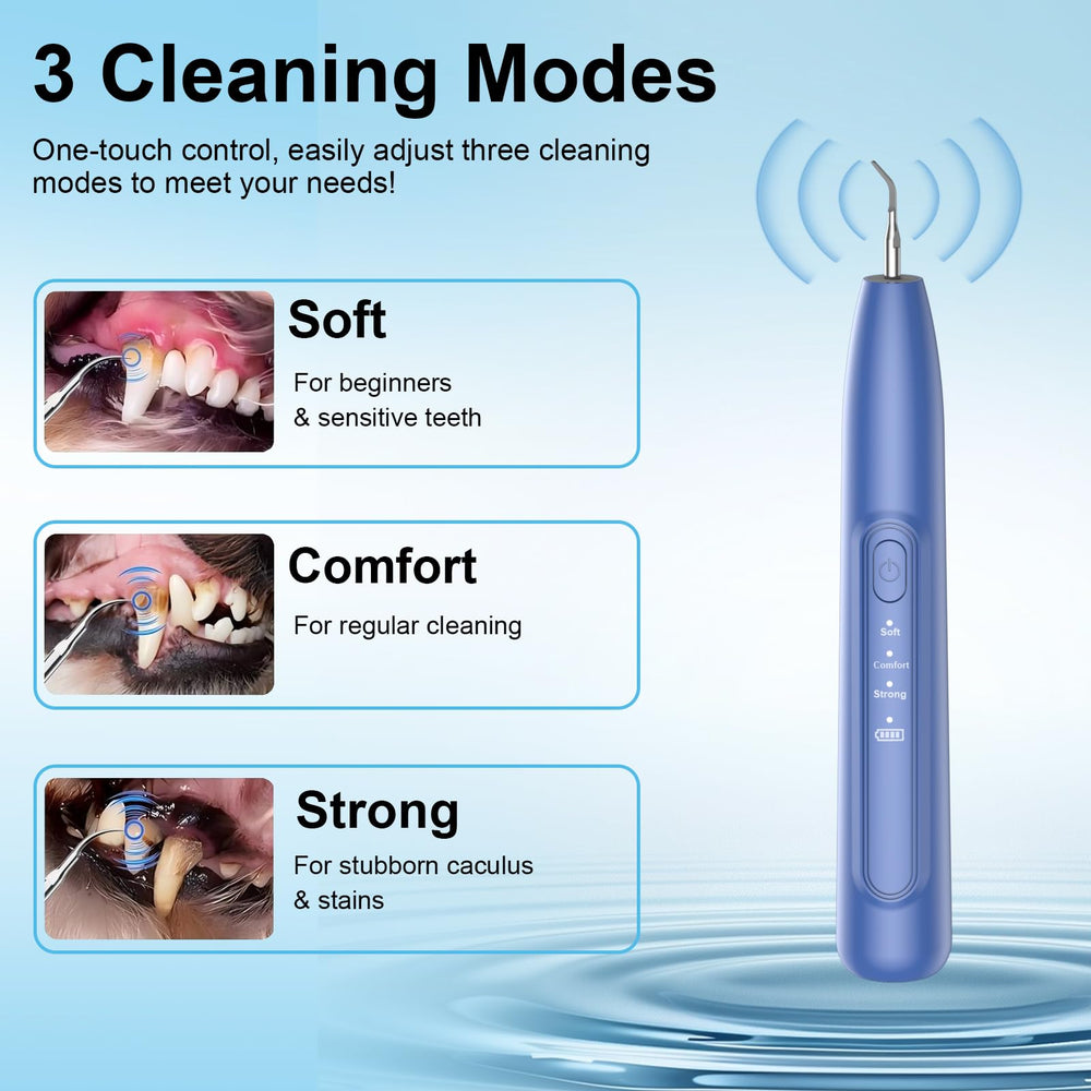YunLuna dog teeth cleaner USB charging port for easy power