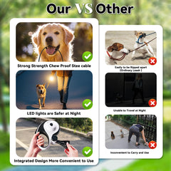 YunoEntona LED light dog leash keeps you visible on night walks