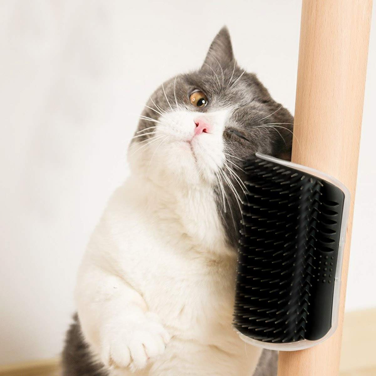 Yuntop 2Pack catnip wall brush mounted on corner for convenient self-grooming