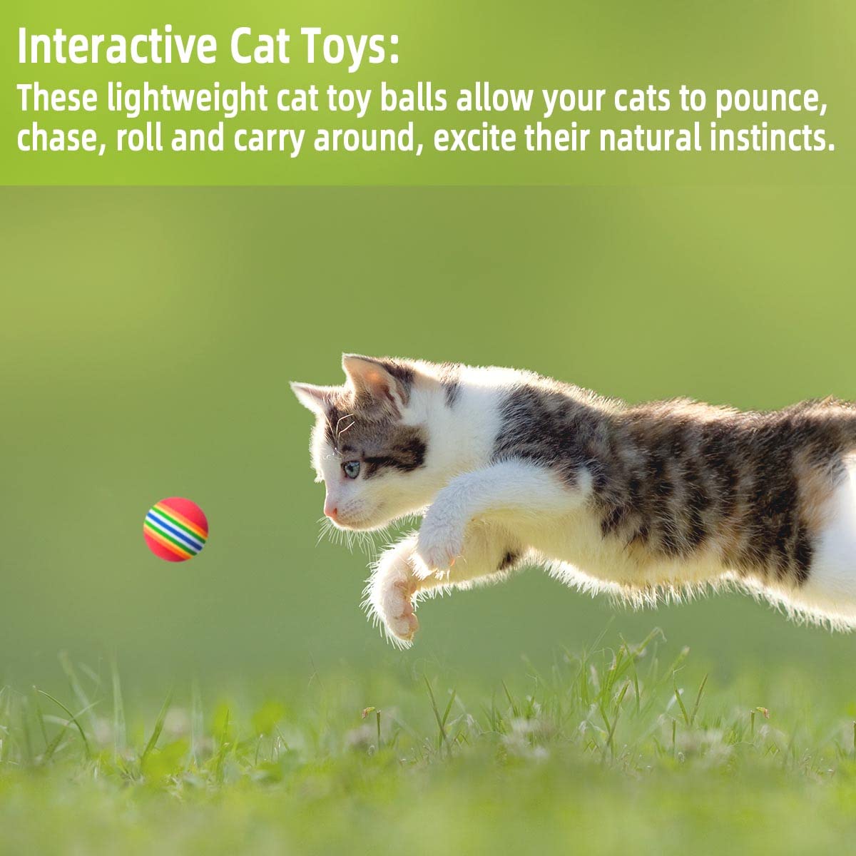 Yuntop foam cat ball as an interactive toy for cats.