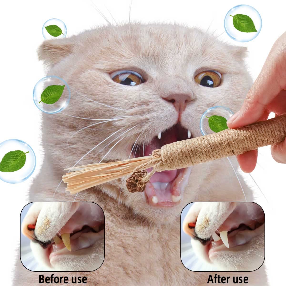 Yuntop silvervine sticks packaging includes four sticks for sharing with a cat