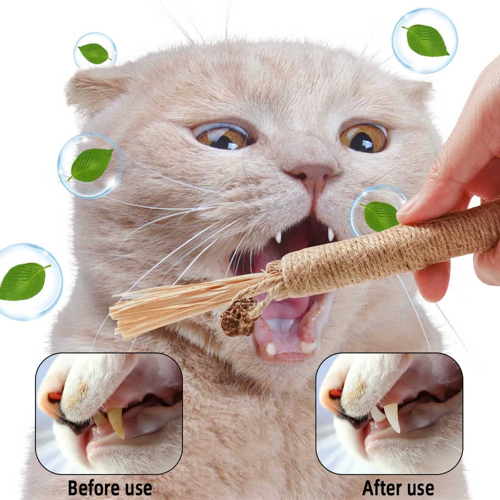Yuntop silvervine sticks packaging includes four sticks for sharing with a cat