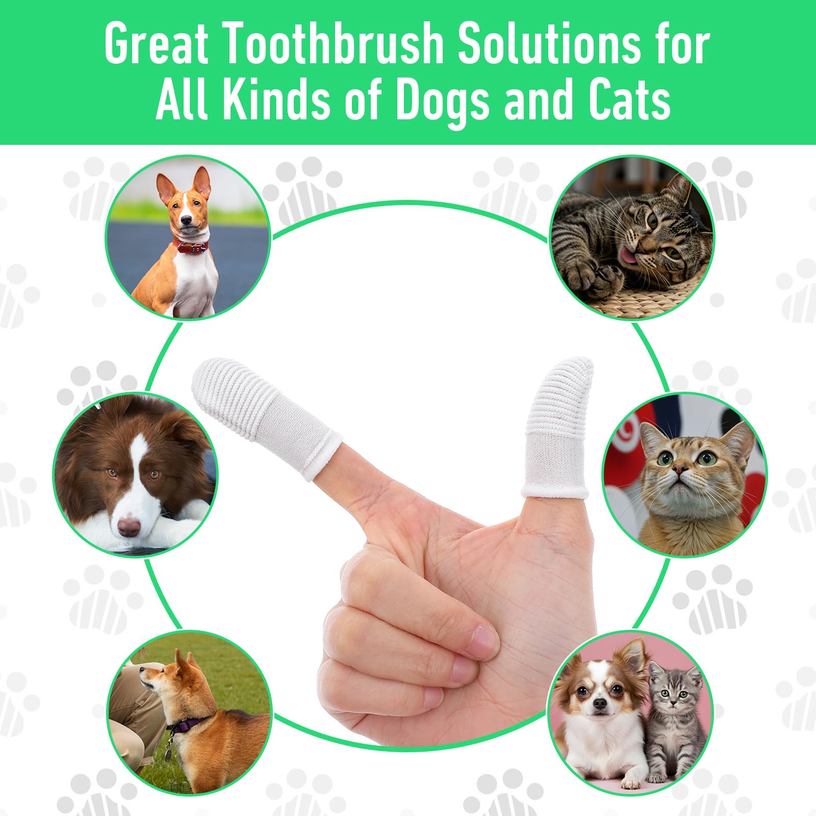 YUXIANLB home-use scene with pet care routine