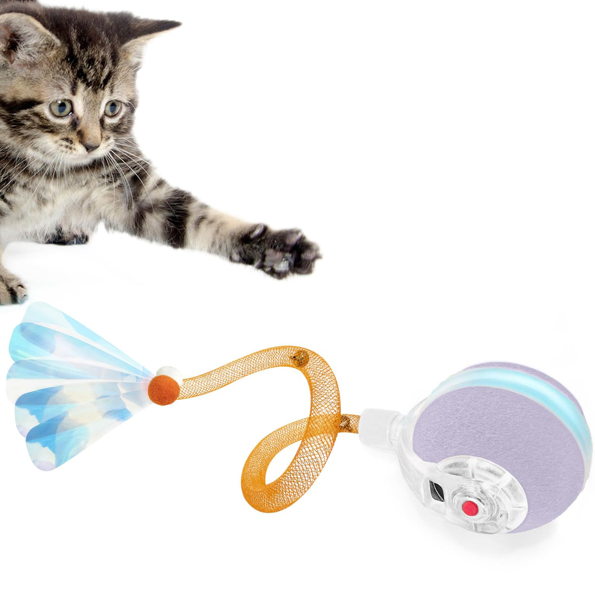 YVE LIFE Interactive Cat Toy Ball Purple enables motion-activated play for indoor cats.